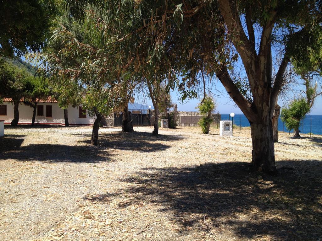 Camping B&B Gioiosa Gioiosa Marea Exteriör bild