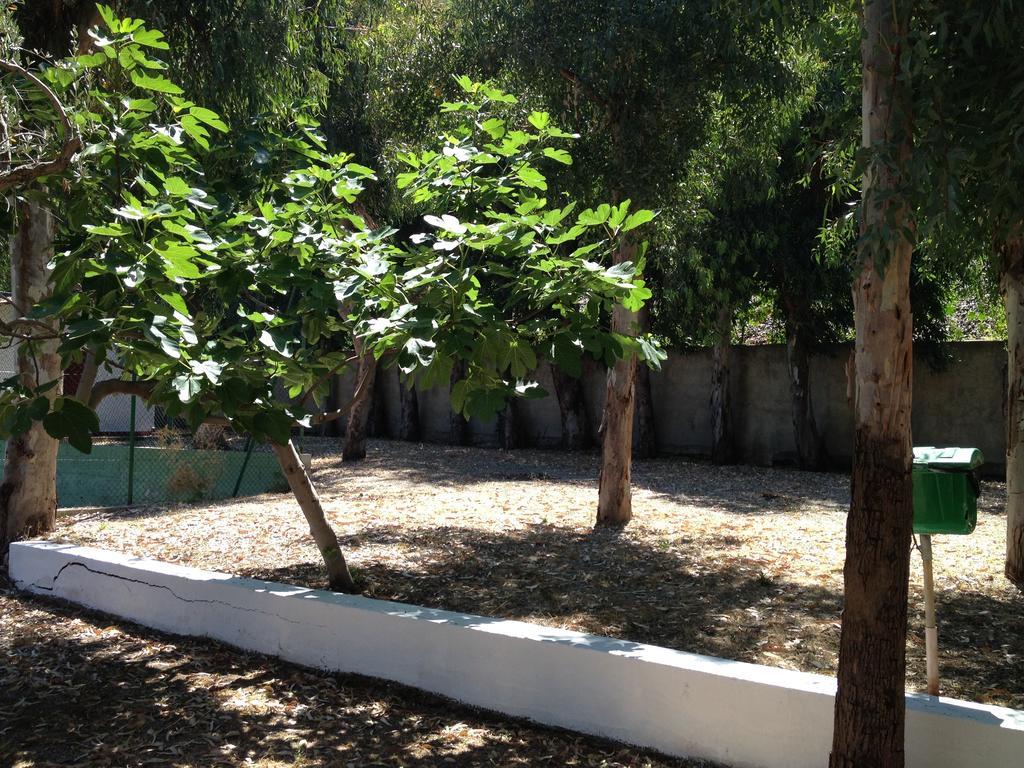 Camping B&B Gioiosa Gioiosa Marea Exteriör bild