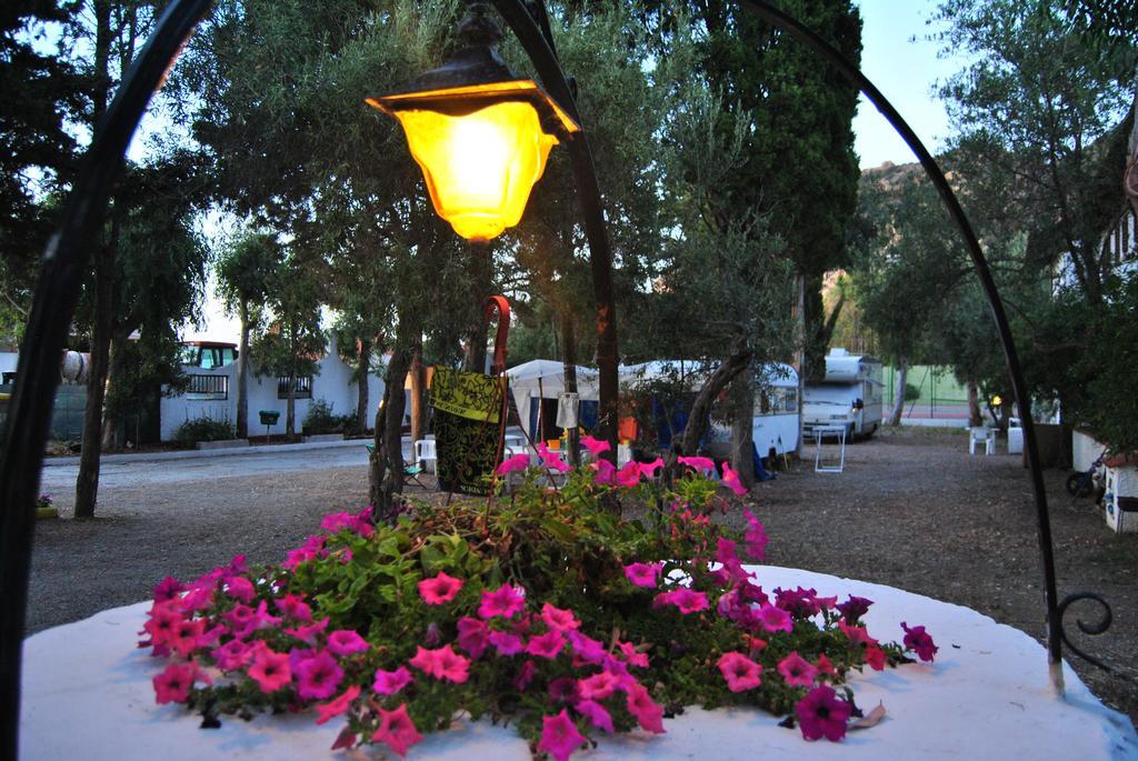Camping B&B Gioiosa Gioiosa Marea Exteriör bild