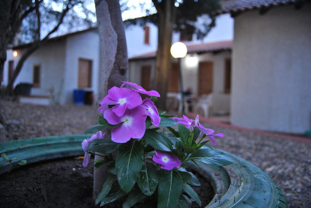 Camping B&B Gioiosa Gioiosa Marea Exteriör bild