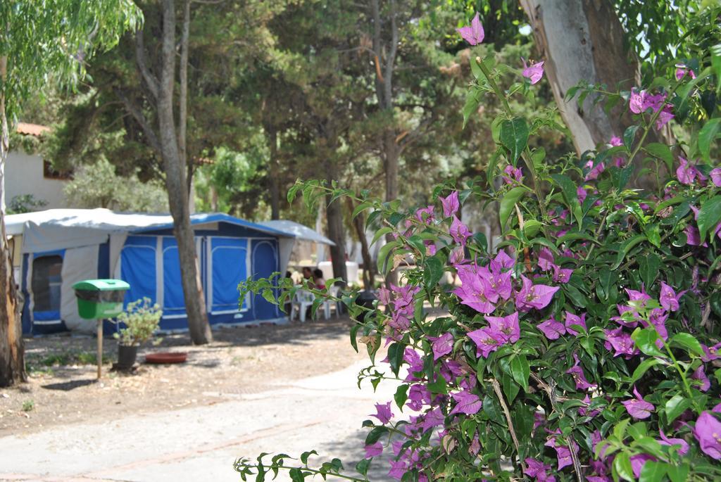 Camping B&B Gioiosa Gioiosa Marea Exteriör bild