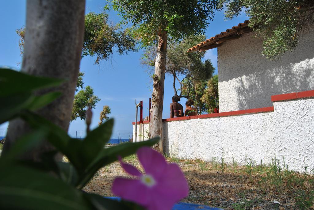 Camping B&B Gioiosa Gioiosa Marea Exteriör bild