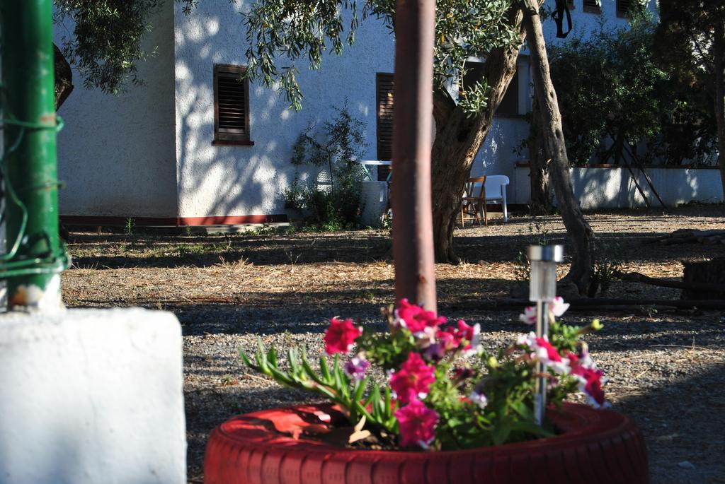 Camping B&B Gioiosa Gioiosa Marea Exteriör bild
