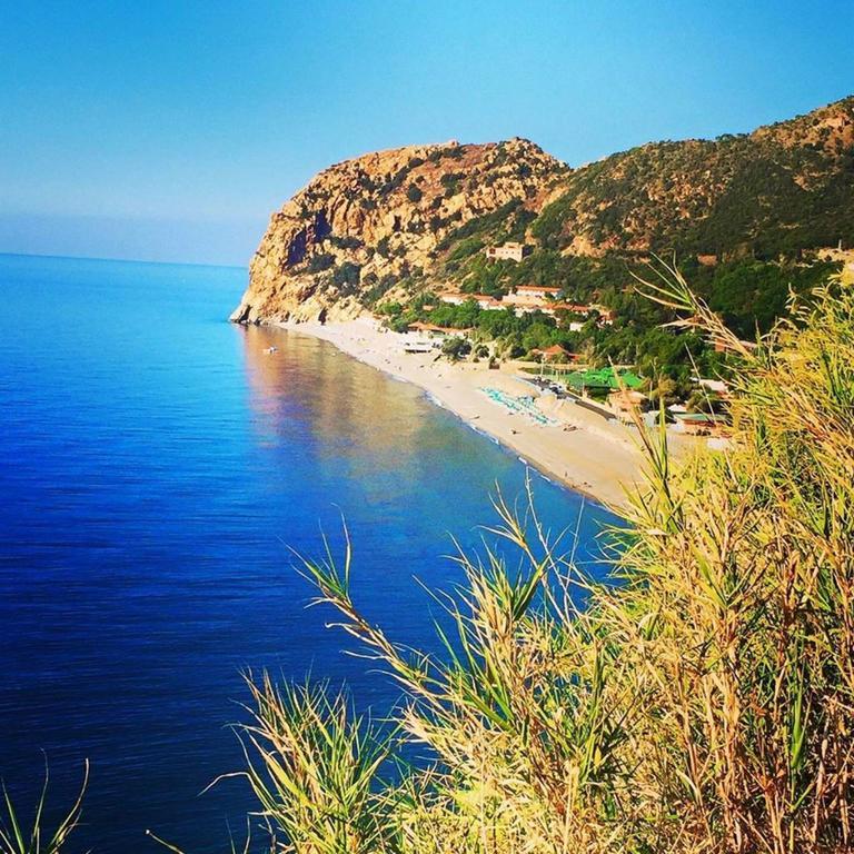 Camping B&B Gioiosa Gioiosa Marea Exteriör bild